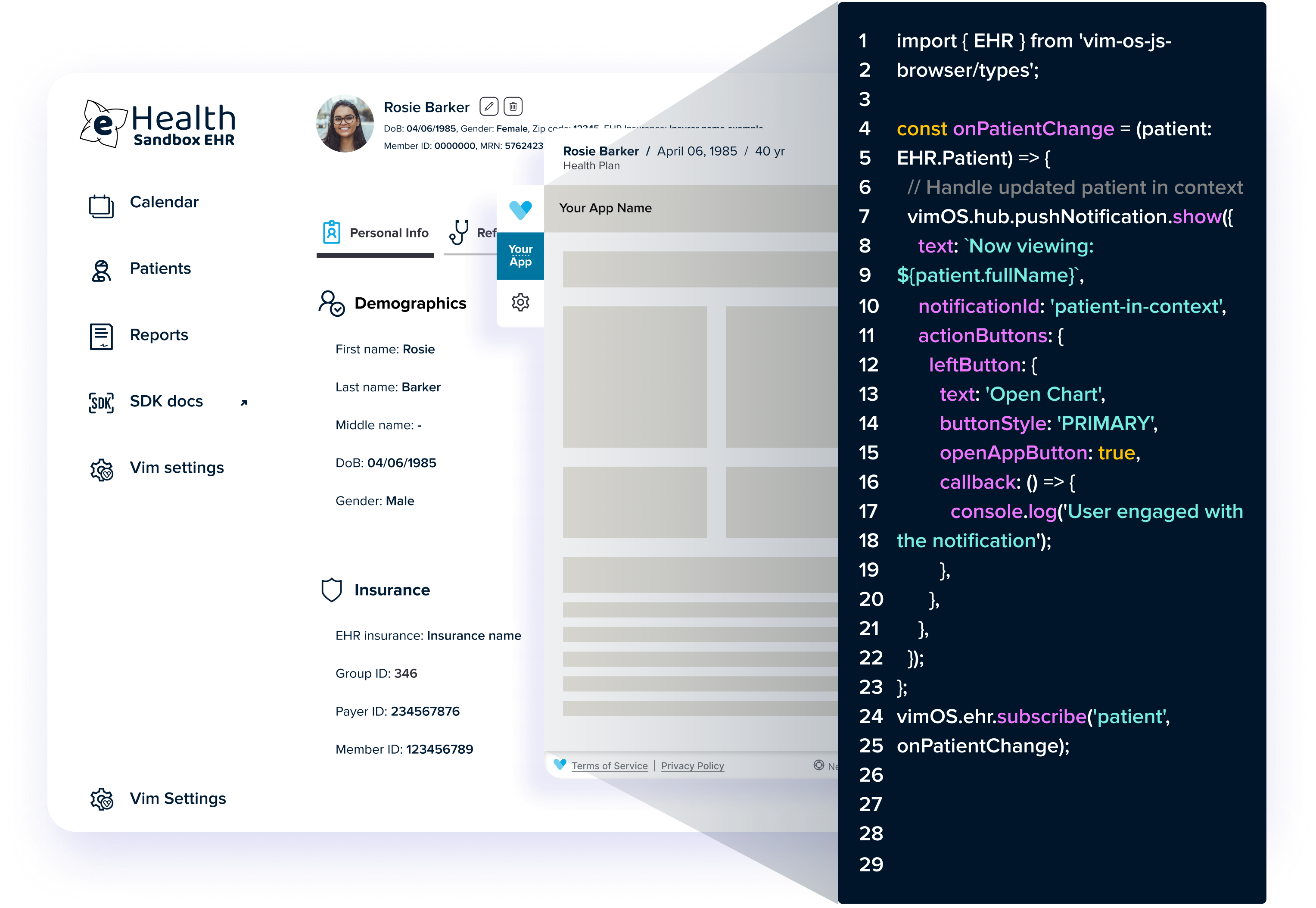 Vim Connect Developer Platform